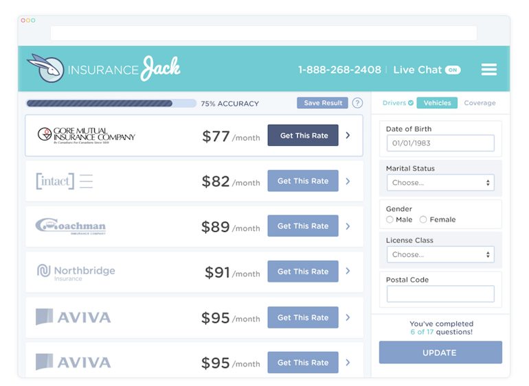 strategy of developing custom web applications